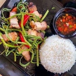 อาหารป่า กะเพราเถื่อน ตามสั่ง เรวดี