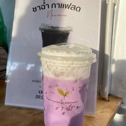 เผือก