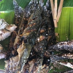 ปลาดุกย่างไม้ใหญ่