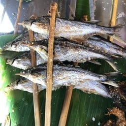 ปลายอนย่าง