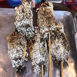 ปลาหมอใหญ่จั้มโบ้