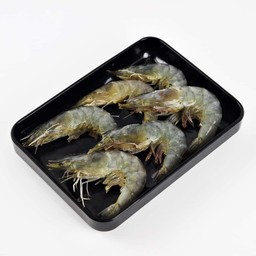 กุ้ง