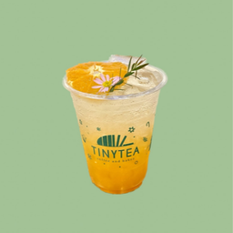 Elder flower sparking