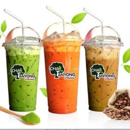 ชาตันหยง ช้างเผือก