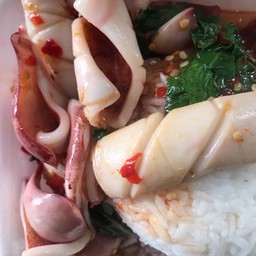 กะเพราทะเล