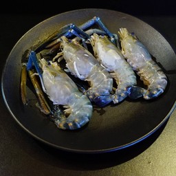 River prawns กุ้งแม่น้ำ