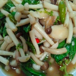 ตามสั่ง ผัดไปเรื่อย