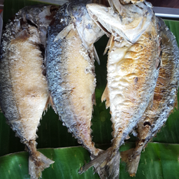 ปลาทูทอด