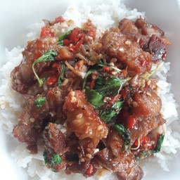 ข้าวราดผัดกระเพราหมูกรอบ