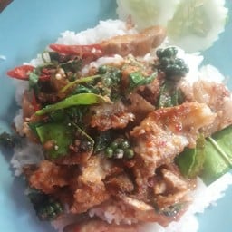 ข้าวราดผัดเผ็ด