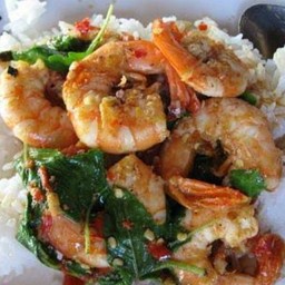 กระเพากุ้งราดข้าว