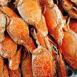 ปูม้านึ่ง