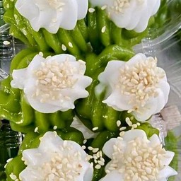 ร้านตายาย หมูปิ้งนมสด ข้าวเหนียว