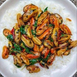 กระเพราหอยแมลงภู่ชิลี {ราดข้าว}