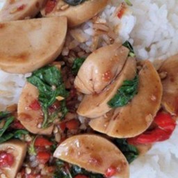 กระเพราหมูยอ {ราดข้าว}