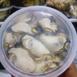 หอยนางรม