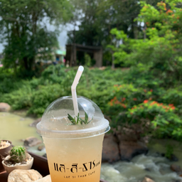 ลิ้นจี่บ๊วยโซดา