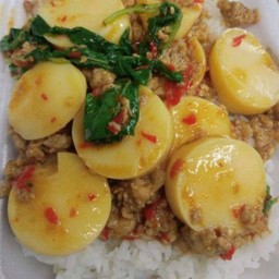 กระเพราหมูสับเต้าหู้