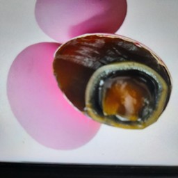 ไข่เยี่ยวม้า