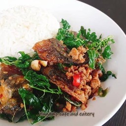 กระเพราไข่เยี่ยวม้าหมูกรอบ