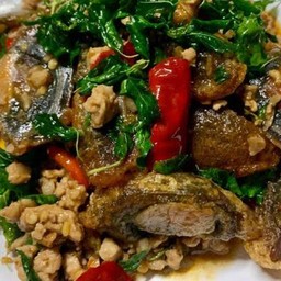 กระเพราหมูสับไข่เยี่ยวม้า(กับข้าว)