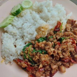 ขัาวกะเพราหมูสับพริกแห้ง