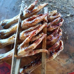 ตีนไก่ย่า