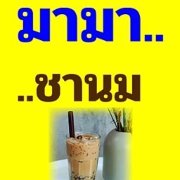 มามาชานม อาหารตามสั่ง -