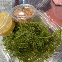 หมึกย่าง เอกชัย ตลาดโต้รุ่ง ทุ่งสง