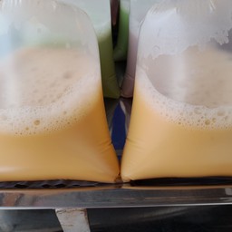 น้ำเต้าหู้ชาไทยทรงเครื่อง