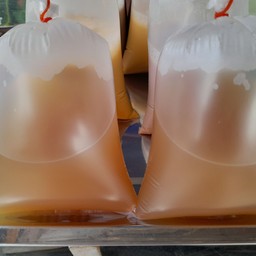 น้ำขิงทรงเครื่อง