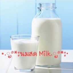 Pang Khon Coffee & Bingsu ปางขอน