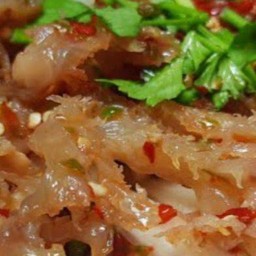 ยำแมงกะพรุน