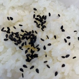 ข้าวญี่ปุ่น