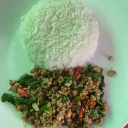 ข้าวกะเพราหมูสับ/&หมูชิ้น