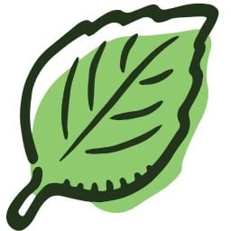 ม่อนแซ่บ 1