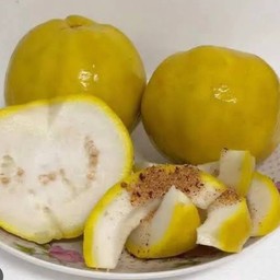 ฝรั่งดอง