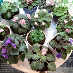 MENU_1003025mY_1670921466