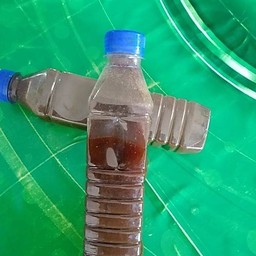 น้ำปลาร้าต้มสุก