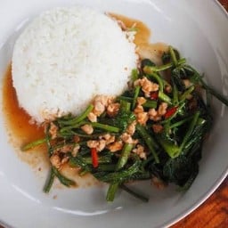 ข้าวราดผัดผักบุ้ง(หมู,ไก่)