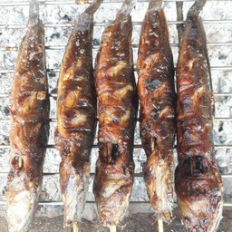 ปลาดุกอย่าง