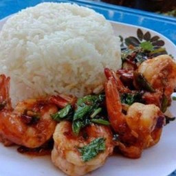 ข้าวราดผัดกระเพรากุ้ง