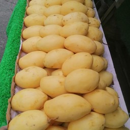 กุ๊กกุ๊กผลไม้สด