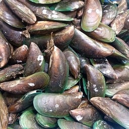 ร้อยล้านทะเลสด