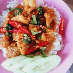 ผัดเผ็ดหมูป่า ราดข้าว