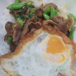 ต้นยาอาหารตามสั่ง+อาหารอีสาน