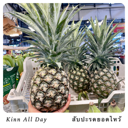 สับปะรดยอดไหว้