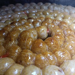 ไส้กรอก(รวม)