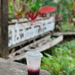 องุ่นโซดา