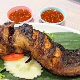 ปลาดุกย่าง
